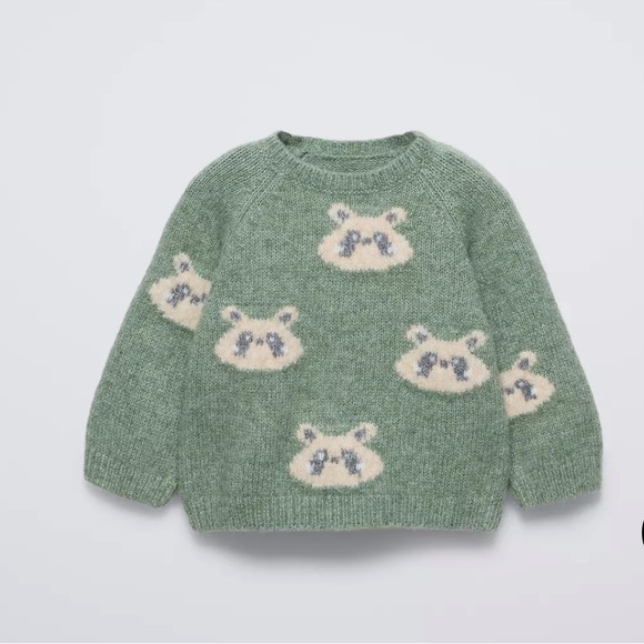 Zara Other - Zara Baby Raccoon Swater